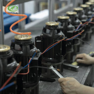 Pompe à eau de surface DIFFUL <span class=keywords><strong>DQD</strong></span> AC/DC sans balais en acier inoxydable pour le traitement de l'eau potable basse pression - Product Image 6