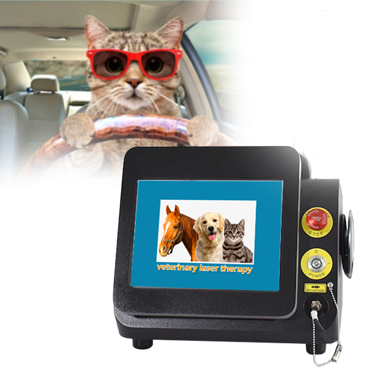 Veterinary Laser Therapy Equipment 980 Laser