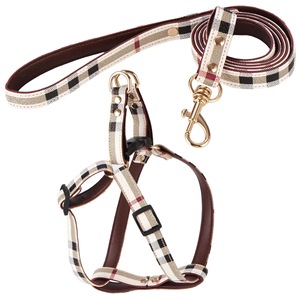 Collare e Guinzaglio per Cani di Piccola Taglia in Pelle e Pelliccia Personalizzati di Lusso Premium - Product Image 3
