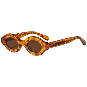 Lunettes de soleil polarisées ovales rétro vintage de haute qualité 2026 pour hommes et femmes, monture épaisse en acétate, style créateur - Product Image 4