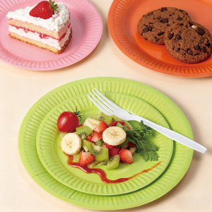 Assiettes jetables écologiques, de qualité alimentaire, compostables, légères, biodégradables, en papier - Product Image 5