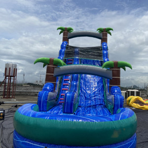 Glissière d'eau gonflable de palmier commerciale la plus populaire de 29 pieds avec le parc aquatique gonflable extérieur de bord de l'eau d'enfants de piscine - Product Image 5
