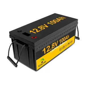 Batteria Cobowin Lifepo4 12v 100ah 200ah 300ah 100 300 ciclo profondo 200ah batteria solare 24v 12v batteria agli ioni di litio 12.8v con Bms