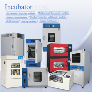 Four de séchage à <span class=keywords><strong>air</strong></span> forcé 70L, four de séchage à circulation d'<span class=keywords><strong>air</strong></span> chaud pour laboratoire et hôpital - Product Image 6