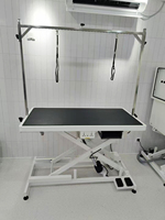 Table de toilettage électrique de luxe pour animaux de compagnie avec points de fixation, construction en caoutchouc et plastique, organisateur de prises et crochets suspendus