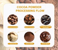 Ligne de machines de transformation de pâte de chocolat personnalisée en usine, mélange, broyage, pressage, fabrication de liqueur de fèves de cacao, poudre de cacao