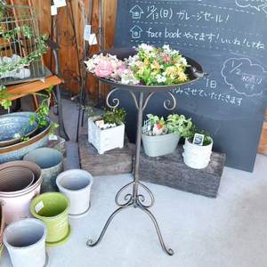 Support <span class=keywords><strong>de</strong></span> <span class=keywords><strong>bain</strong></span> d'oiseaux vintage en fer, mangeoire à oiseaux d'extérieur, bol sur piédestal haut, finition brillante résistante aux intempéries, marque Pioneera, jardin, patio - Product Image 3