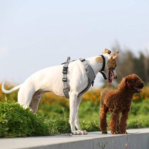 Nouveau design, harnais pour chien réglable, anti-traction, avec clip frontal réfléchissant, rembourré, pour chien de grande taille - Product Image 6