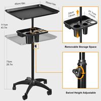 Nouvelle charrette à outils de coiffure multi-usages à double plateau, mobile et réglable, pour salon de coiffure
