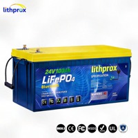 Batterie Lithium LiFePO4 25,6V 100Ah à décharge profonde, Grade A, personnalisée pour VR, avec BMS intelligent, RS485, borne M8, 6K cycles, CE RoHS IP67, OEM ODM