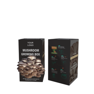 Individuelles Logo Druck-Design Pilzanbaubeutel Karton Pilzanverpackungsbox recycelbare Verpackung für Pilze