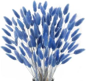 Bouquet de queues de lapin décoratif personnalisé en usine Nature éternelle <span class=keywords><strong>Lagurus</strong></span> Ovatus sec fleurs séchées conservées - Product Image 6
