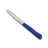 RVS 2-in-1 fruit- en schilmesjesset met antislip handvat, multifunctionele groenteschiller
