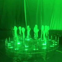 Fontaine musicale dansante de luxe en acier inoxydable avec LED pour jardin et hôtel, installation facile