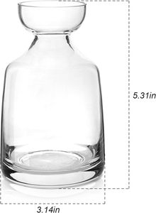 <span class=keywords><strong>Vase</strong></span> à fleurs d'<span class=keywords><strong>avocat</strong></span> en verre moderne et kit de culture avec plante de gland pour décoration intérieure de bureau à la maison - Product Image 2