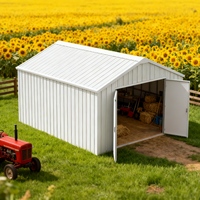 Abri de jardin métallique 12 pi x 20 pi - Unité de rangement extérieure à double porte - Abri de garage métallique