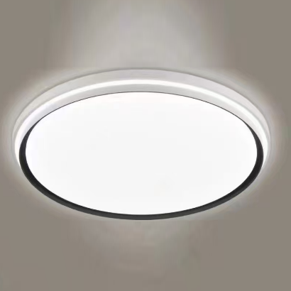 Wholesale Round Modern Led Ceiling Light Fixtures Bedroom Living Ceiling Lamp Study Office Decoration Black Circle Lighting