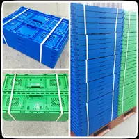 Reusable Vegetable Plastic Crates