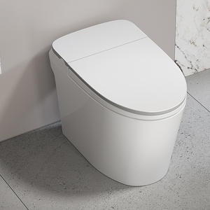 Inodoro inteligente personalizado montado en el suelo de Color blanco, inodoro inteligente de una pieza automático de cerámica para Baño - Product Image 2