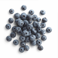 Buah Blueberry Beku IQF (Individually Quick Frozen) Panen Baru, Blueberry Beku untuk Selai, Ekspor Massal Dari Cina