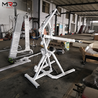 Máquina de Entrenamiento de Fuerza Multifuncional de Acero con Carga de Placas para Entrenamiento en Pie, Colores Personalizables