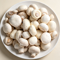 Champiñones Blancos Cortados y Congelados, Sin OMG, Altos en Fibra, Listos para Comer, Suministro de Fábrica, Certificación IFS, Venta al Por Mayor, Exportación