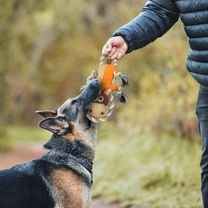 Juguete de Peluche Interactivo con Sonido para Perros, Juguete Masticable Resistente con Sonido para Limpiar los Dientes, Juguete para Perros - Product Image 2