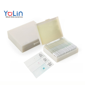 Portaobjetos de Microscopio con Algas y <span class=keywords><strong>Hongos</strong></span> para la Enseñanza de Biología en Secundaria, Especímenes Preparados con Estructuras Fúngicas Típicas, ISO - Product Image 1