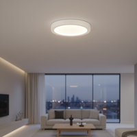Plafonnier LED rond moderne 24W, ultra-plat 30mm, sans scintillement, IP44, montage en saillie ou en encastré pour maison et bureau
