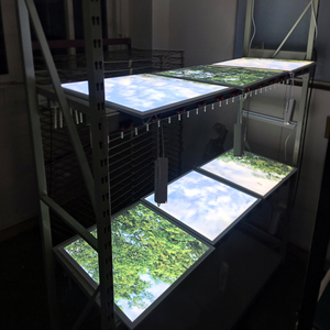 Plafonniers décoratifs en forme de nuage et de ciel bleu, pour détendre et apaiser les nerfs, lampes de couloir, lampes de plafond en forme de <span class=keywords><strong>colombe</strong></span> de la paix - Product Image 6