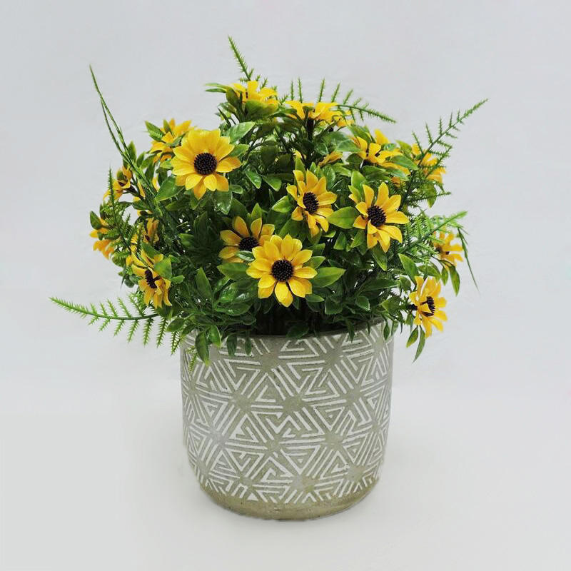 Fiore del sole con P210001-22 pentola di cemento