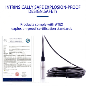 Capteur de niveau de réservoir de carburant hydrostatique submersible en <span class=keywords><strong>acier</strong></span> inoxydable industriel anti-explosion 4-20mA RS485 Modbus - Product Image 4