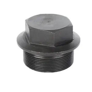 Manufacturer Customized Stainless Steel Screw Plug And Carbon Steel Screw Plug