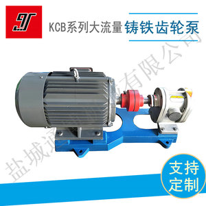 Pompe à engrenages circulaires Eboton YCB600 55L/min, pompe rotative auto-amorçante électrique pour transfert de produits chimiques, corps en fonte, acier inoxydable 304 - Product Image 3