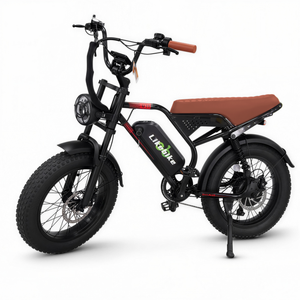 Elektro-Mountainbike 48V Lithium-Akku Hochgeschwindigkeits-Scheibenbremse 20-Zoll-Räder Doppelfederung - Product Image 1