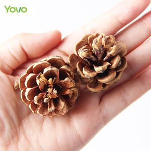 Venta al por mayor de piñas secas naturales secas para decoración de Navidad, velas de jabón, material para manualidades - Product Image 6