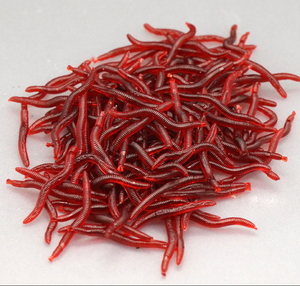 Lot <span class=keywords><strong>de</strong></span> 100 leurres souples artificiels rouges <span class=keywords><strong>de</strong></span> 4 cm en PVC, type larve, pour la pêche <span class=keywords><strong>au</strong></span> bar, <span class=keywords><strong>au</strong></span> poisson-chat, en eau douce, en rivière, en lac, en ruisseau et en mer - Product Image 2