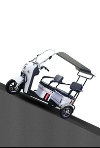 รถสามล้อผู้ใหญ่ขายดีจากจีน 3 ล้อ สำหรับผู้โดยสาร โครงเหล็ก มอเตอร์กลาง - Product Image 1