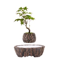 Pots de plantes à arrosage automatique intérieur/extérieur au design moderne pour le sol de jardin, carrés et ronds, ensemble de plantes personnalisées et bon marché, vente en gros, usage domestique