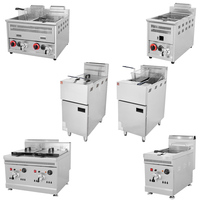 Friteuse à gaz commerciale en acier inoxydable, grande capacité verticale, qualité commerciale, machine à frites