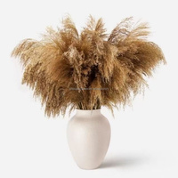 Haute qualité véritable naturel Beige lapin queues sec moelleux pampa herbe matériel décor intérieur Bouquet Arrangement de mariage