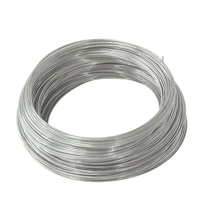 Kawat baja galvanis Cina 0.7mm 0.8mm 1.<span class=keywords><strong>2mm</strong></span> 1.6mm 1.8mm Diameter <span class=keywords><strong>2mm</strong></span> kawat besi galvanis celup panas - Product Image 1