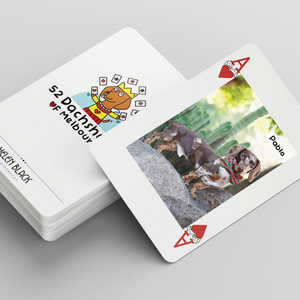 <span class=keywords><strong>Jeu</strong></span> de divertissement commémoratif sur le thème des animaux de conception haut de gamme cartes de poker impression cadeau personnalisé jeux de cartes à jouer - Product Image 1