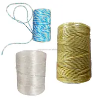 Nhựa Raffia Chuỗi Baler Twine Polypropylene Nylon Rope 3Mm