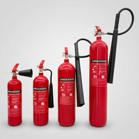 Extincteur à CO2 portable CE 5LBS 10LBS 15LBS 20LBS pour une extinction rapide et propre des incendies