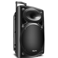 Enceinte portable carrée de 12 pouces pour la danse, en plastique, pour l'extérieur, 5.0 45W, vente en gros d'usine, sans fil
