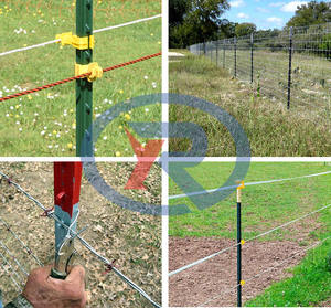 <span class=keywords><strong>Poteau</strong></span> en T en acier galvanisé de 10 pieds / <span class=keywords><strong>Poteau</strong></span> de clôture métallique / <span class=keywords><strong>Poteau</strong></span> de clôture en T en acier à vendre - Product Image 6