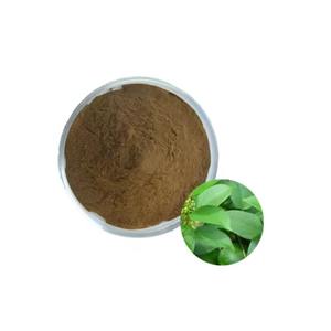 Натуральный растительный экстракт: порошок гимнематиновых кислот 25% и 75%, экстракт листьев гимнемы сильвестры - Product Image 1