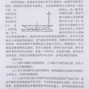 25021 - Product Image 2