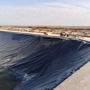 Geomembrana de HDPE de 1.0 mm para Diseño Industrial, Revestimiento para Estanques de Piscifactorías y Vertederos, Material LDPE - Product Image 6